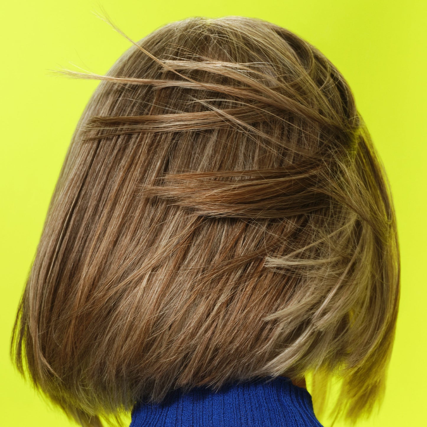 frizz-to-rizz-trio-e9 111725_Vicky_HumidityAntifrizz-Editorial_0538_w2QC_IGF_1x1_05a09617-4ccf-44a2-8545-199321a503e1.jpg