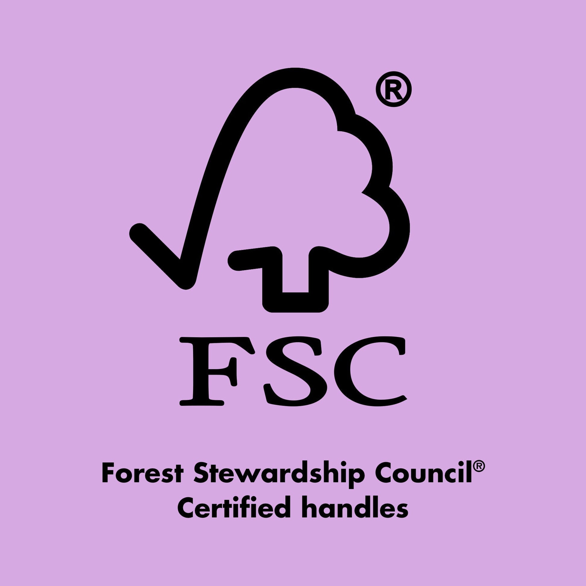 ten-out-of-ten-brush-kit-o2 0423_EDUCATION_FSC_EVERGREEN.jpg