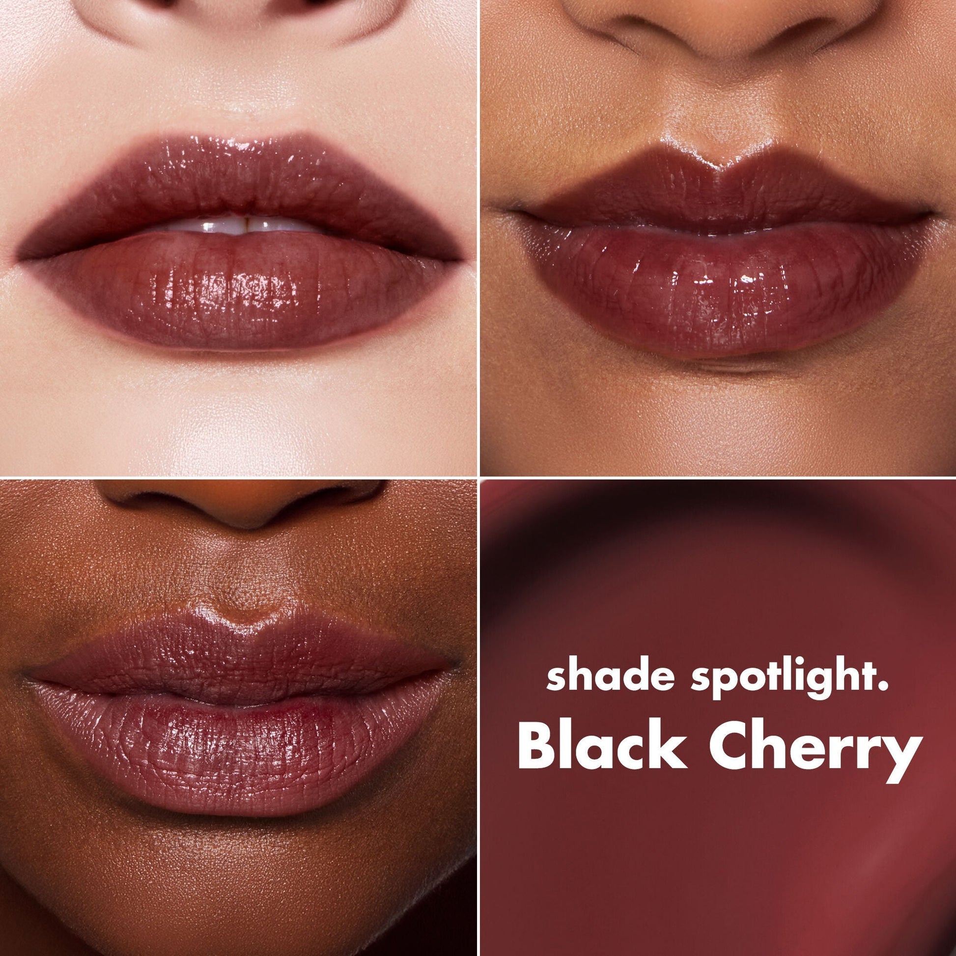 lip-lacquer-g4 0426_EDU_LipLaquer_ShadeChart_BlackCherry.jpg