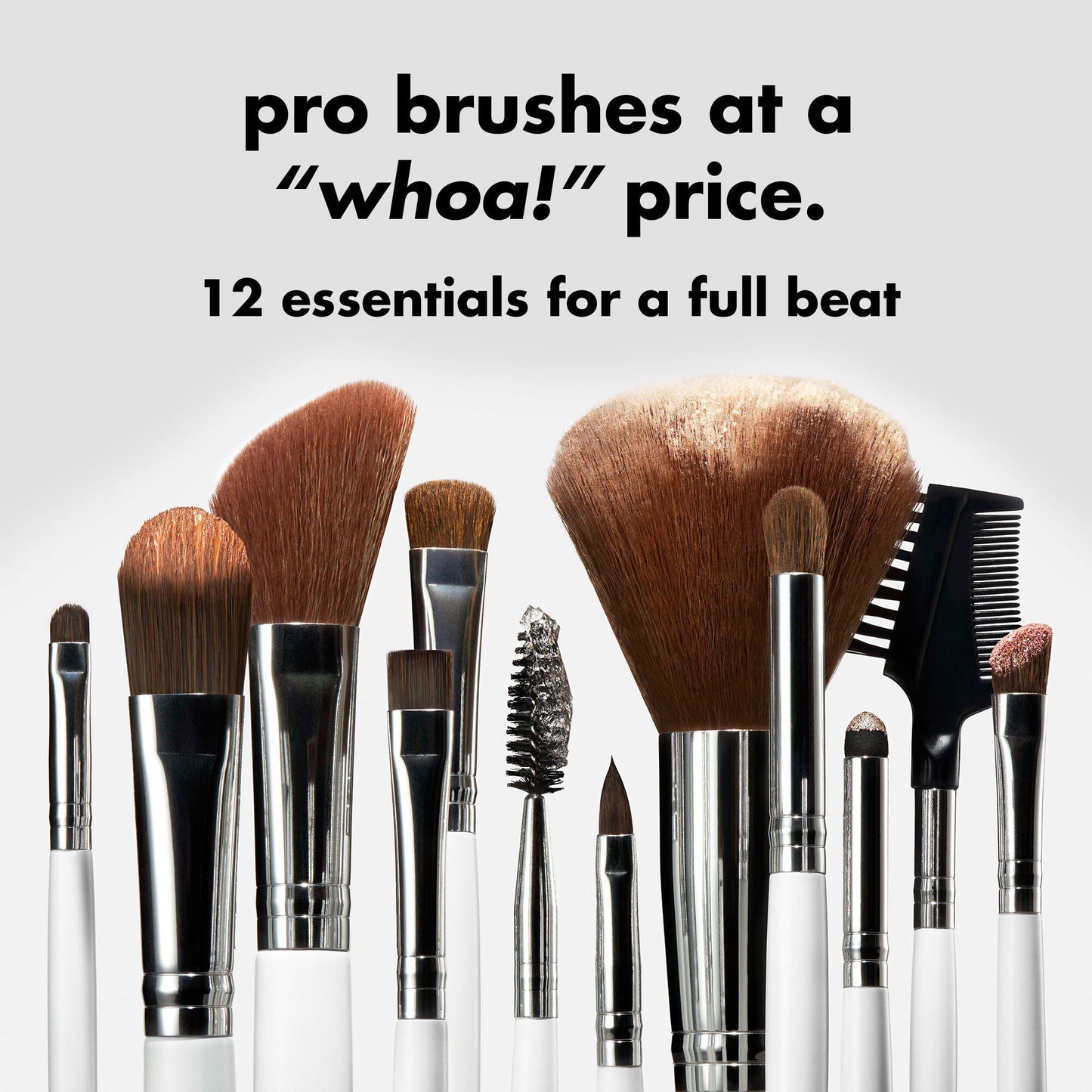 professional-set-of-12-makeup-brushes-a0 0823_PDP_BRUSHES_12-PIECE_SET_PRODUCT.jpg